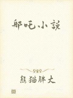 哪吒小说