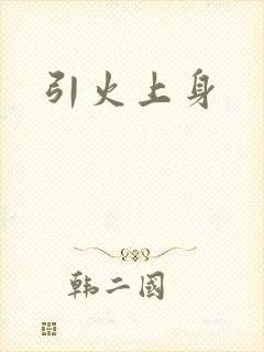 引火上身封面