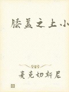 膝盖之上小说封面