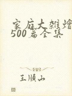 家庭大杂烩小说500篇全集封面