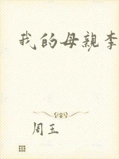 我的母亲李瑞芬封面