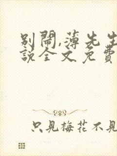 别闹,薄先生小说全文免费阅读