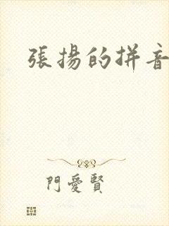 张扬的拼音封面