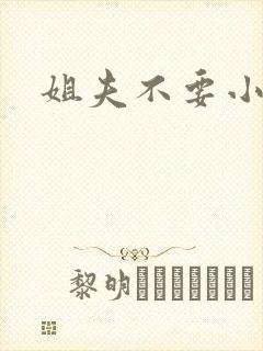 姐夫不要小说