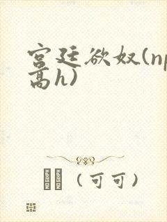 宫廷欲奴(np高h)