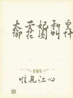 太子妃和皇帝在御花园叫什么小说