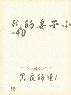 我的妻子小谨1-40