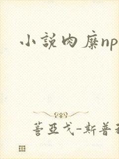 小说肉糜np