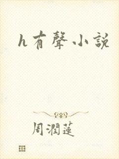 h有声小说