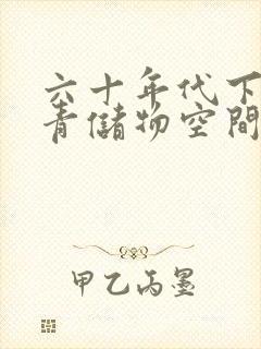 六十年代下乡知青储物空间封面