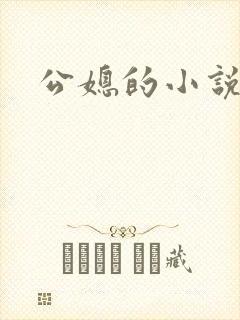 公媳的小说封面