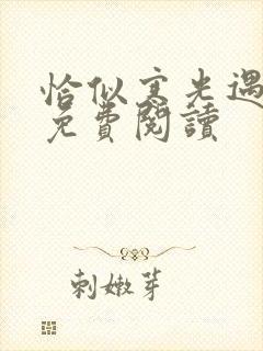 恰似寒光遇骄阳免费阅读封面