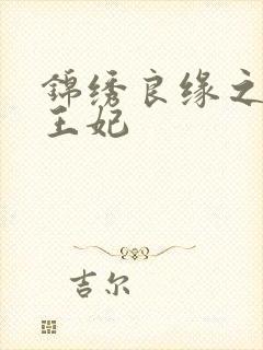 锦绣良缘之北地王妃