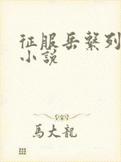 征服岳系列短篇小说封面