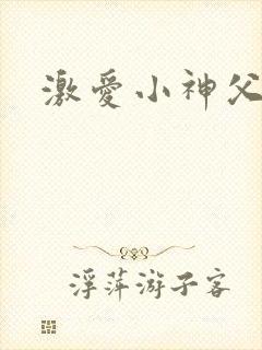 激爱小神父