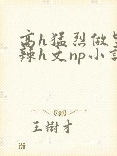 高h猛烈做哭高辣h文np小说