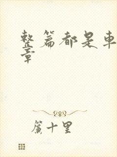 整篇都是车的文章