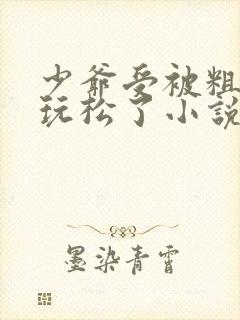 少爷受被粗汉H玩松了小说