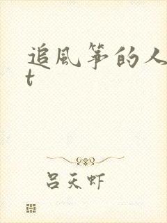 追风筝的人txt