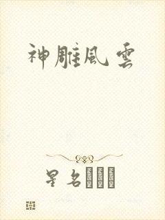 神雕风云