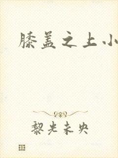 膝盖之上小说