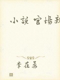 小说 官场新贵