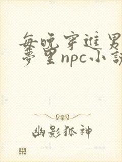每晚穿进男神的梦里npc小说