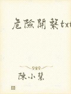 危险关系txt封面