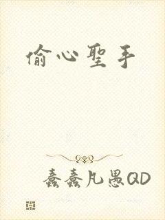 偷心圣手