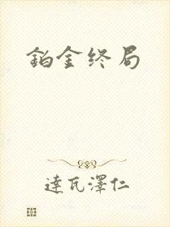铂金终局封面