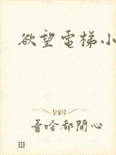 欲望电梯小说