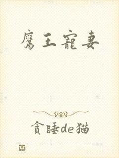 鹰王宠妻
