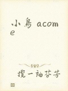 小鸟 acome
