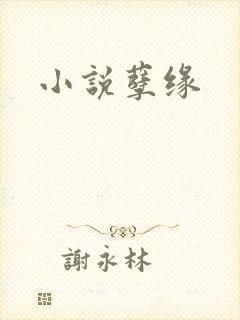 小说孽缘