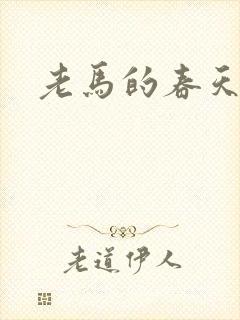 老马的春天敏静