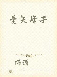 爱矢峰子封面