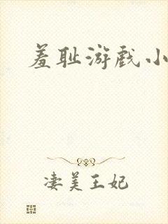 羞耻游戏小说