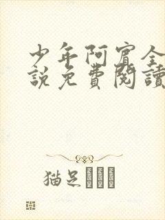 少年阿宾全文小说免费阅读笔趣阁