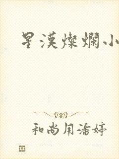 星汉灿烂小说封面