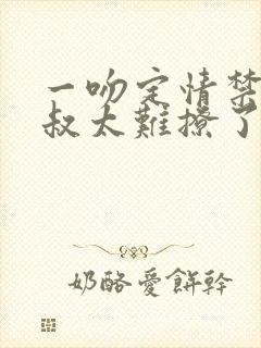 一吻定情禁欲小叔太难撩了