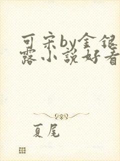 可宋by金银花露小说好看吗