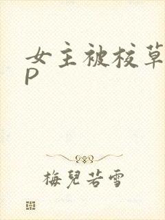 女主被校草们NP