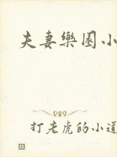 夫妻乐园小说