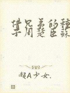 借兄弟的种生孩子周楚臣苏糖