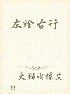 左灯右行