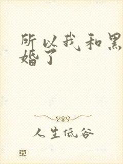 所以我和黑粉结婚了