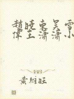 赵晓东吴雪晴郑伟王潇潇小说名字
