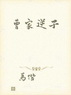 曹家逆子封面