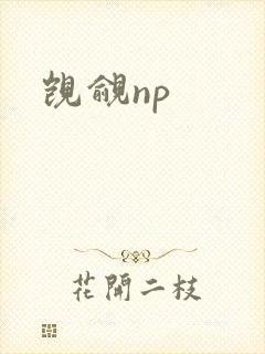 觊觎np