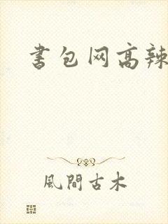书包网高辣文